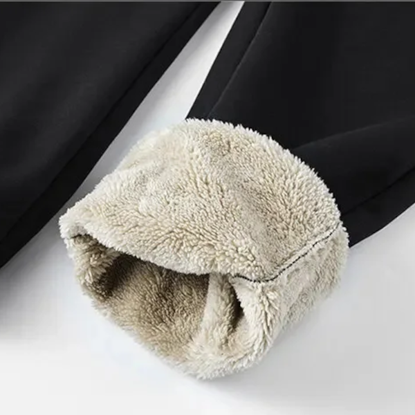 Ensemble Polar Plus